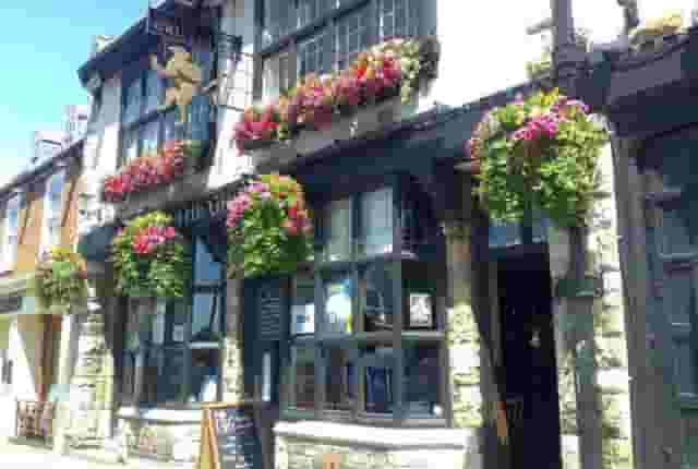 The Griffin