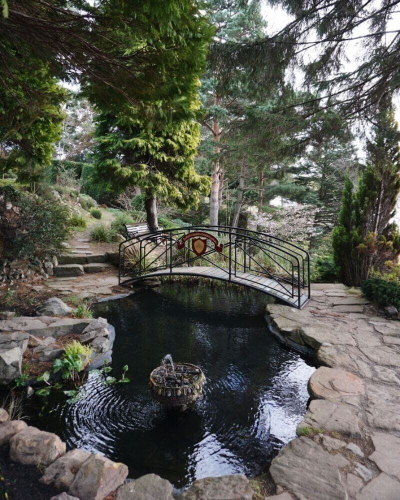 Serene Secret Garden with decorative bridge, ideal for outdoor events and gatherings.