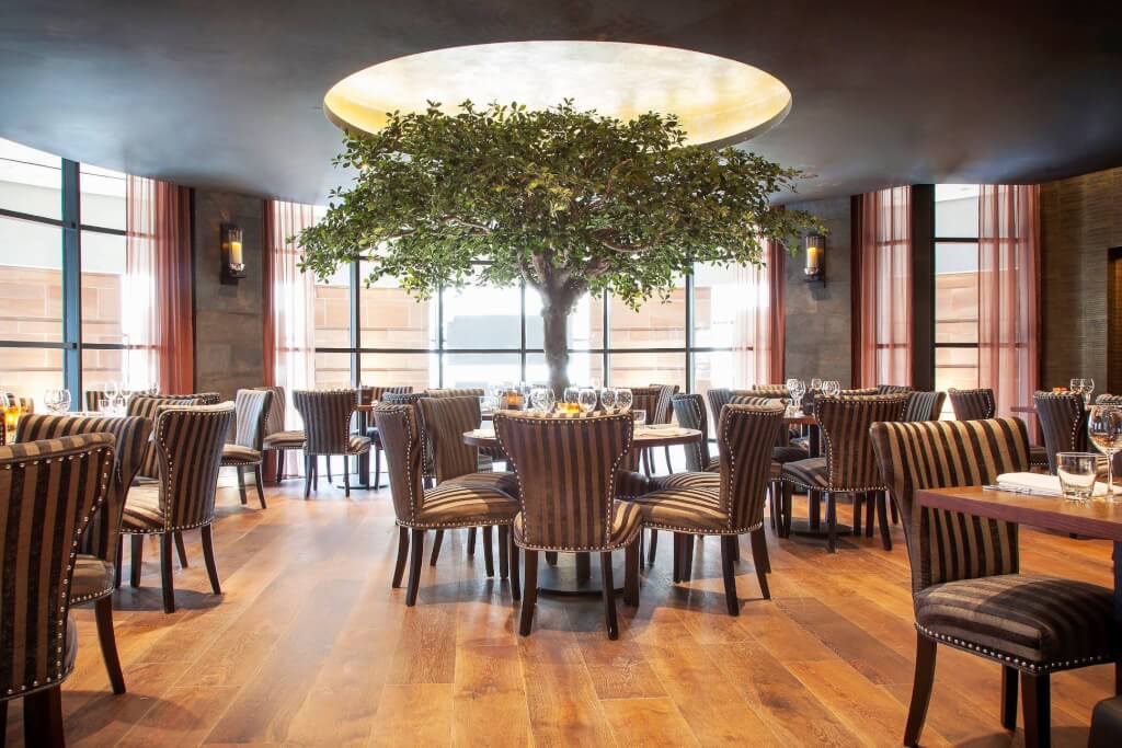 Private dining room with tree centerpiece, perfect for corporate events and intimate gatherings. - Banner