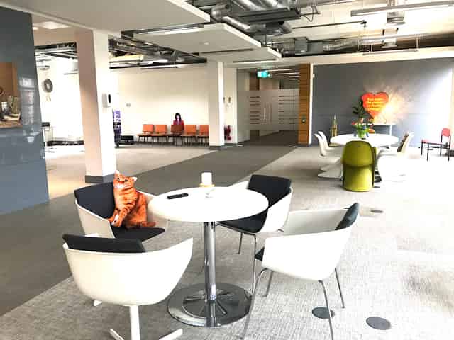 Creative Pop Up Space King's Road +1 more