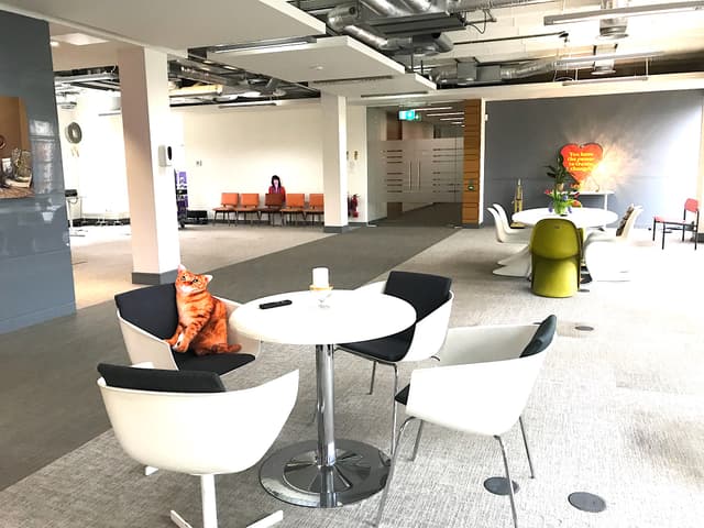 Creative Pop Up Space King's Road +1 more
