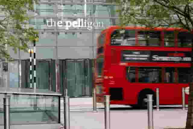 The Pelligon