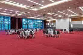 Ball Room DowJones at Radisson Blu, spacious venue for conferences with elegant red carpet.