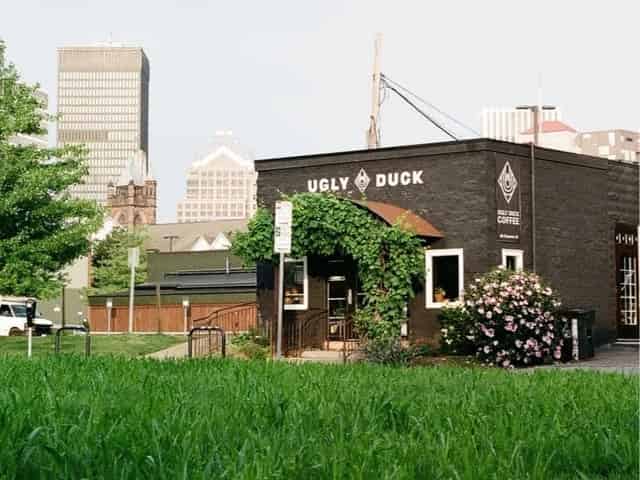 Ugly Duck