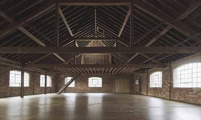 Ugly Duck
