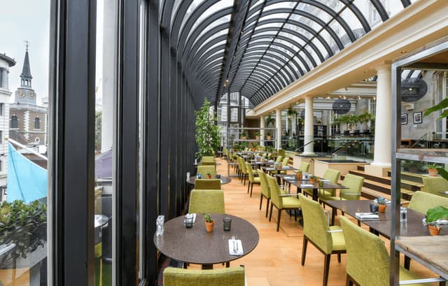 The Terrace