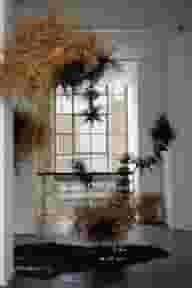 Photo Studios