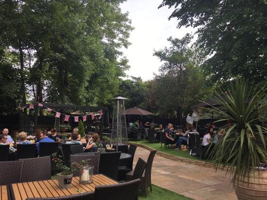 Vibrant outdoor event space with lush greenery for casual gatherings and networking.