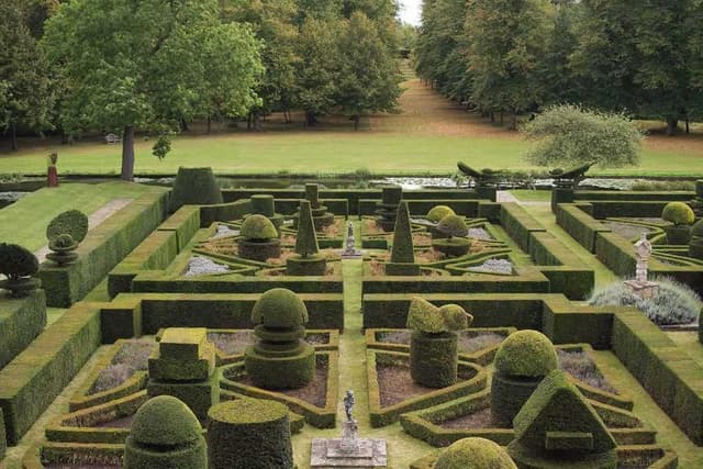 Magnolia Lawn
