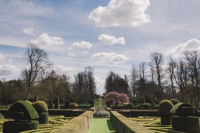 Magnolia Lawn