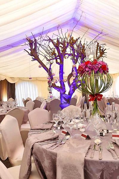 Elegant Function Hall at Croft Court Hotel with illuminated tree centerpiece for weddings. - Banner