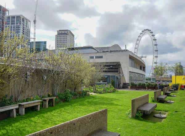 Queen Elizabeth Hall Roof Garden