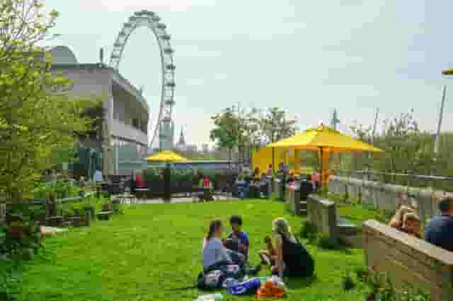 Queen Elizabeth Hall Roof Garden
