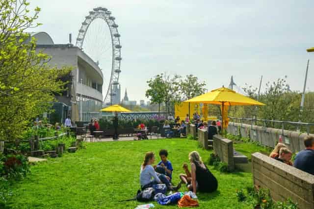 Queen Elizabeth Hall Roof Garden