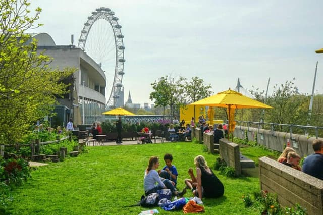 Queen Elizabeth Hall Roof Garden