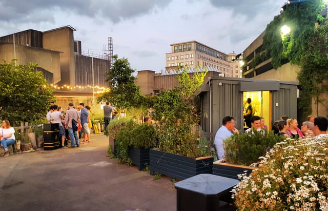 Queen Elizabeth Hall Roof Garden