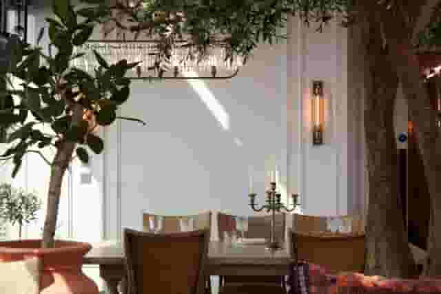Dariana Events