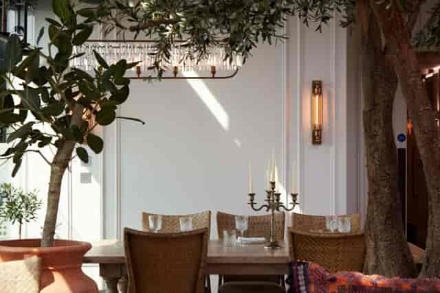 Elegant meeting space with greenery, perfect for intimate gatherings and brainstorming sessions.