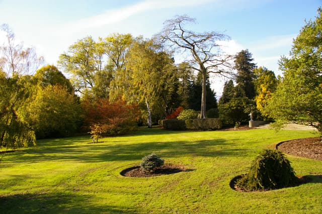 Arboretum