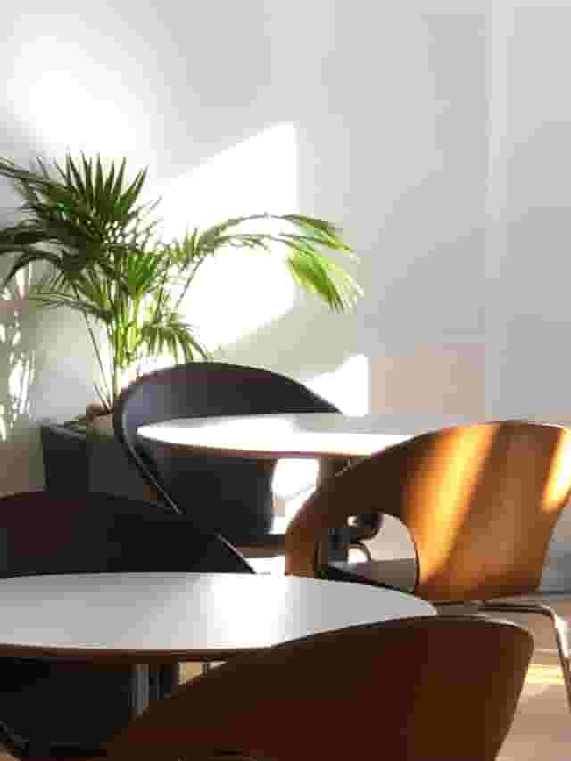 Café Area