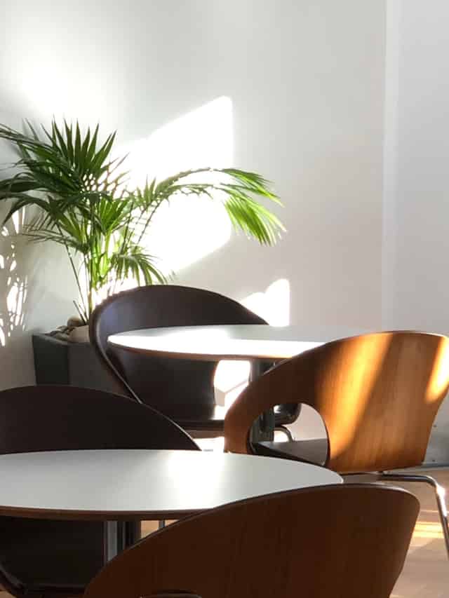 Café Area