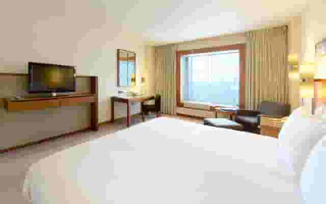Luxury Suites