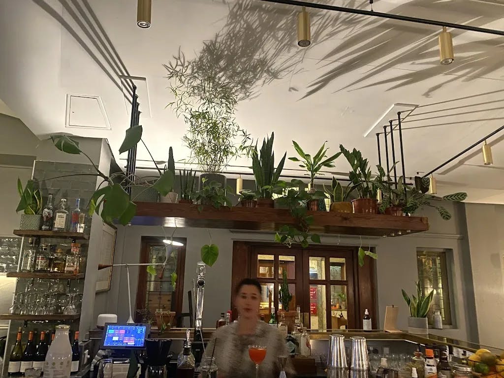 Silk Weaver Bar at Town Hall Hotel with lush greenery, perfect for cocktails and events.