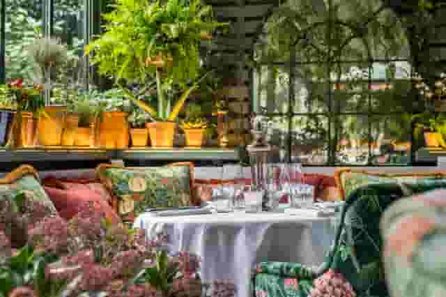 The Ivy In The Park