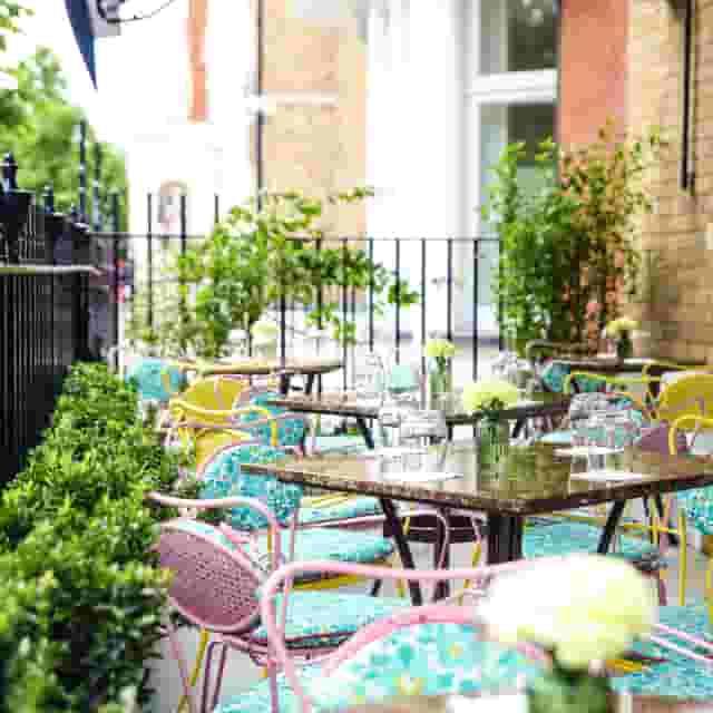 The Ivy In The Park