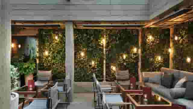 The Ivy In The Park