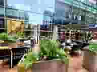 Reception Halls