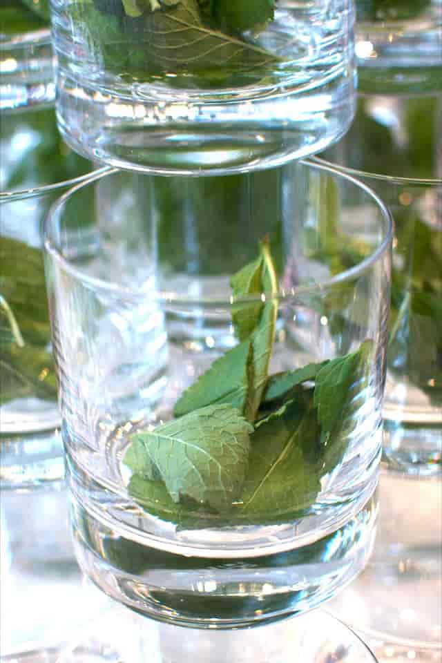 "Terrace Boardroom glass with mint leaves for upscale culinary events in London."