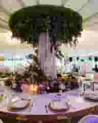 Wedding Venues
