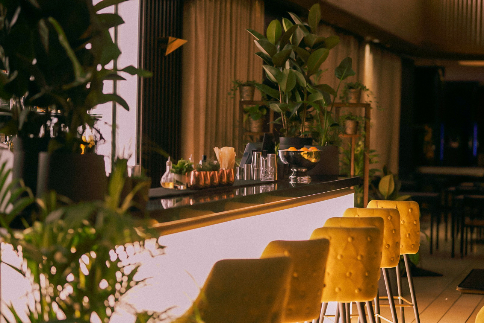 Stylish Jin Bar with vibrant greenery, ideal for networking events and cocktail receptions. - Banner