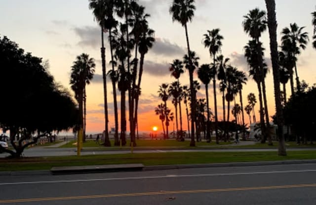 Sunset Park at The Barker Hangar with palm trees, ideal for outdoor receptions and gatherings.