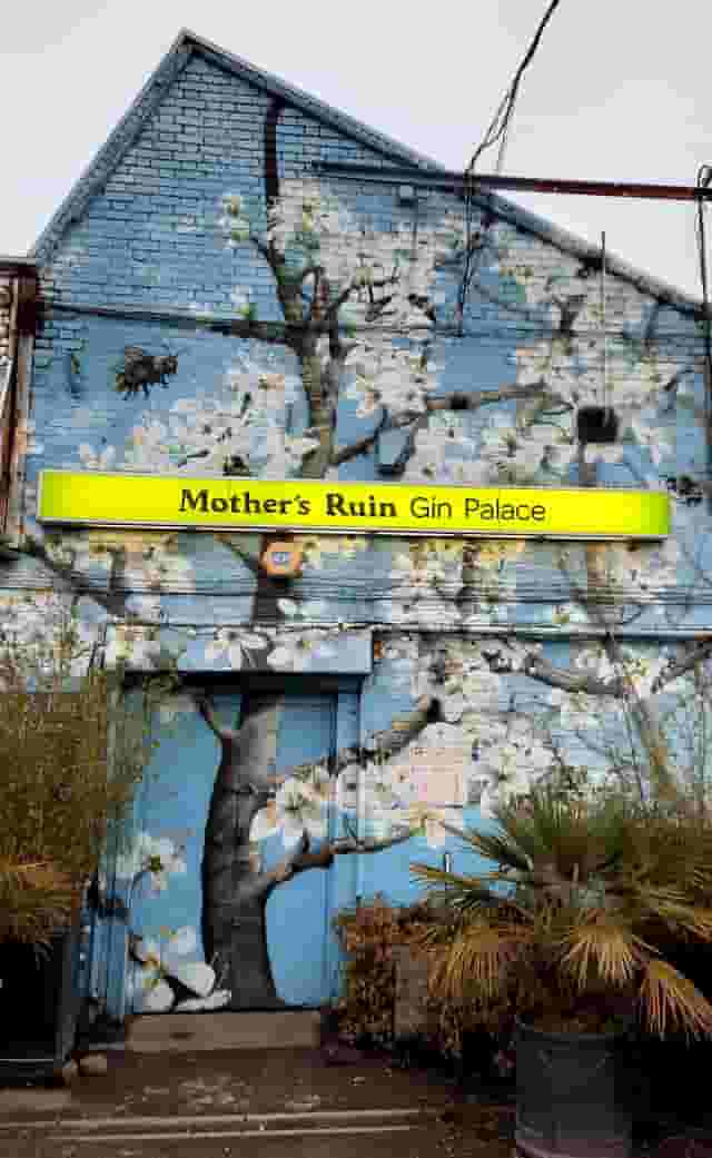 Mother's Ruin Gin Palace