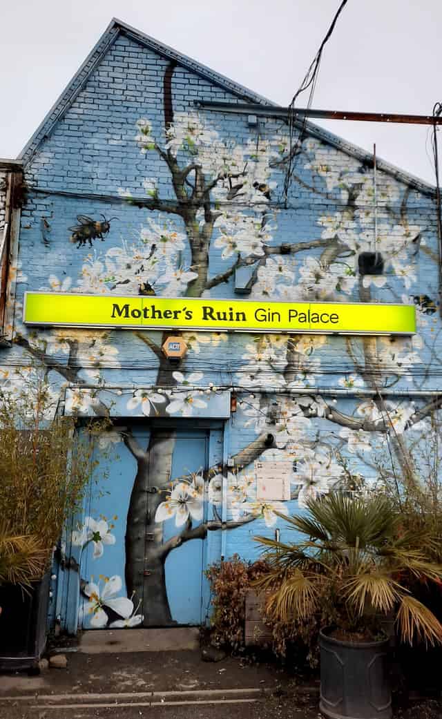 Mother's Ruin Gin Palace