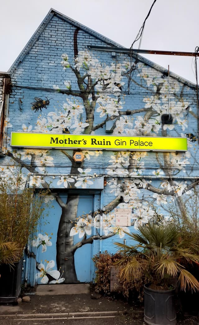Mother's Ruin Gin Palace