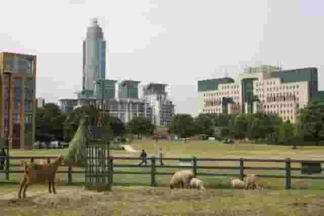 Vauxhall City Farm