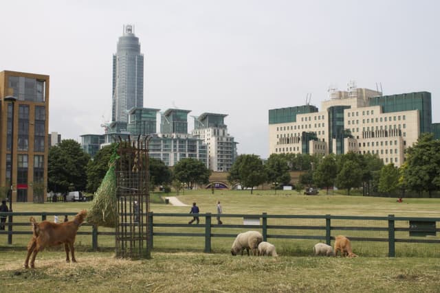 Vauxhall City Farm