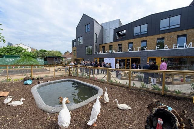 Vauxhall City Farm