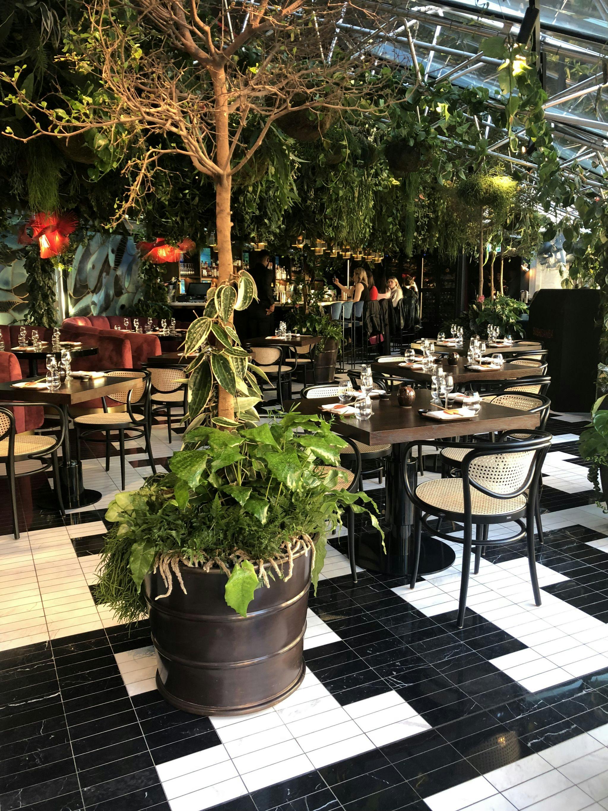 Lunch at SUSHI SAMBA, Covent Garden