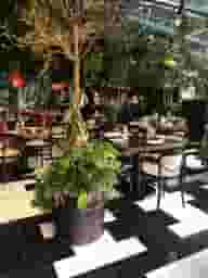 Private Bars