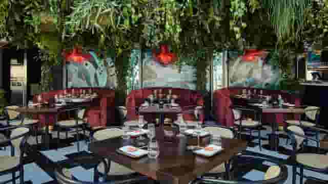 SUSHISAMBA Covent Garden