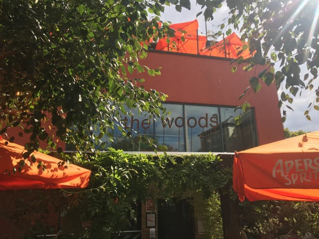 The Woods
