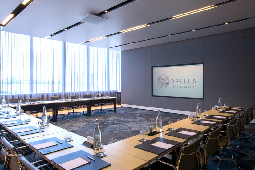 Modern meeting room Apella 207 with conference table, ideal for corporate events and workshops.