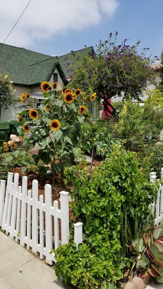 Vibrant covered patio in Bexx Secret Garden, ideal for outdoor events and workshops.