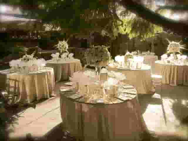Gazebo Bar