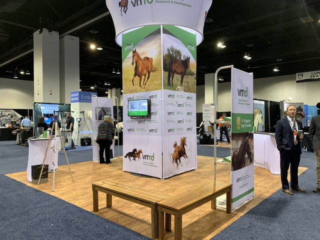 Vibrant equine trade show booth with engaging graphics and digital screen for networking.