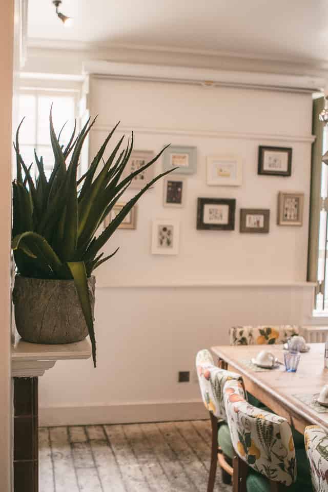 The Kitchen Room